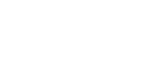 Randy's Holiday Lighting
